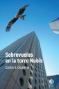 Sobrevuelos en la torre Nubis