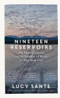 Nineteen Reservoirs: On Their Creation and the Promise of Water for New York City