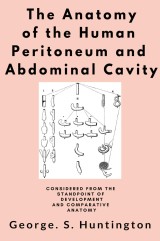 The Anatomy of the Human Peritoneum and Abdominal Cavity