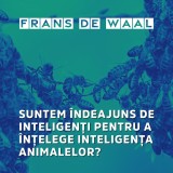 Suntem îndeajuns de inteligenți pentru a înțelege inteligența animalelor?