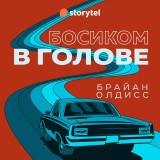 Босиком в голове