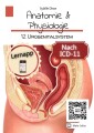 Anatomie & Physiologie Band 12: Urogenitalsystem