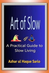 Art of Slow