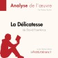 La Délicatesse de David Foenkinos (Analyse de l'oeuvre)