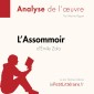 L'Assommoir d'Émile Zola (Analyse de l'oeuvre)