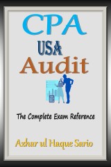 CPA USA Audit