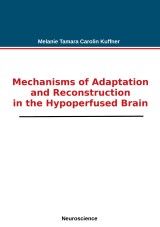 Mechanisms of Adaptation and Reconstruction in the Hypoperfused Brain