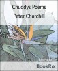 Chuddys Poems