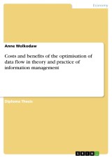 Costs and benefits of the optimisation of data flow in theory and practice of information management