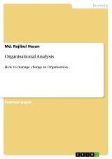 Organisational Analysis