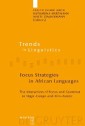 Focus Strategies in African Languages