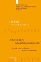 What makes Grammaticalization?
