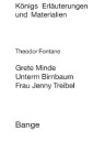 Grete Minde / Unterm Birnbaum. Textanalyse und Interpretation.