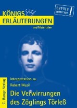 Die Verwirrungen des Zöglings Törleß von Robert Musil. Textanalyse und Interpretation.