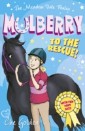 Meadow Vale Ponies: Mulberry to the Rescue!
