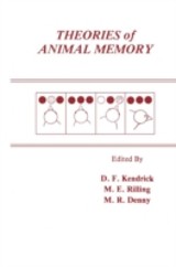 Theories of Animal Memory