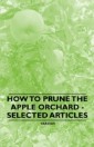 How to Prune the Apple Orchard - Selected Articles
