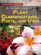 Closer Look at Plant Classifications, Parts, and Uses