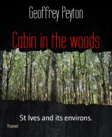 Cabin in the woods