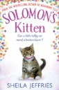 Solomon's Kitten