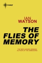 Flies of Memory