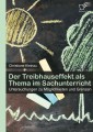 Der Treibhauseffekt als Thema im Sachunterricht: Untersuchungen zu Möglichkeiten und Grenzen