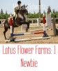 Lotus Flower Farms: 1 Newbie
