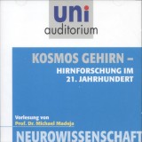 Kosmos Gehirn