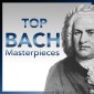 TOP Bach