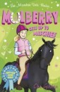 Meadow Vale Ponies: Mulberry Gets up to Mischief