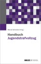 Handbuch Jugendstrafvollzug