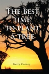 Best Time to Plant a Tree