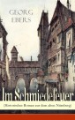 Im Schmiedefeuer (Historischer Roman aus dem alten Nürnberg)