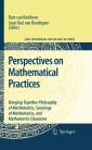 Perspectives on Mathematical Practices