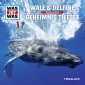 Was ist was Hörspiel: Wale & Delfine/ Geheimnisse der Tiefsee
