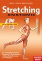 Stretching Anatomie