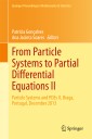 From Particle Systems to Partial Differential Equations II