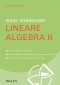 Wiley-Schnellkurs Lineare Algebra II