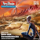 Perry Rhodan 2825: Unter dem Sternenbaldachin