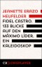 Fidel Castro. 133 Blicke auf den Máximo Líder. Ein Kaleidoskop