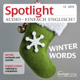 Englisch lernen Audio - Der Winter