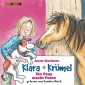 Klara + Krümel (1): Ein Pony macht Faxen