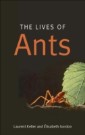 Lives of Ants