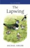 Lapwing