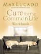Cure for the Common Life Workbook