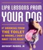 Life Lessons From Your Dog