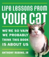 Life Lessons From Your Cat