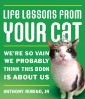 Life Lessons From Your Cat