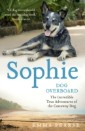 Sophie: dog overboard