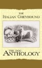 Italian Greyhound: A Dog Anthology